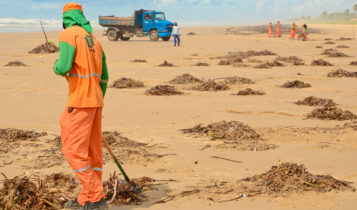 Prefeitura mobiliza equipes e recolhe o sargaço das praias da capital