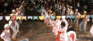 Maracangaia