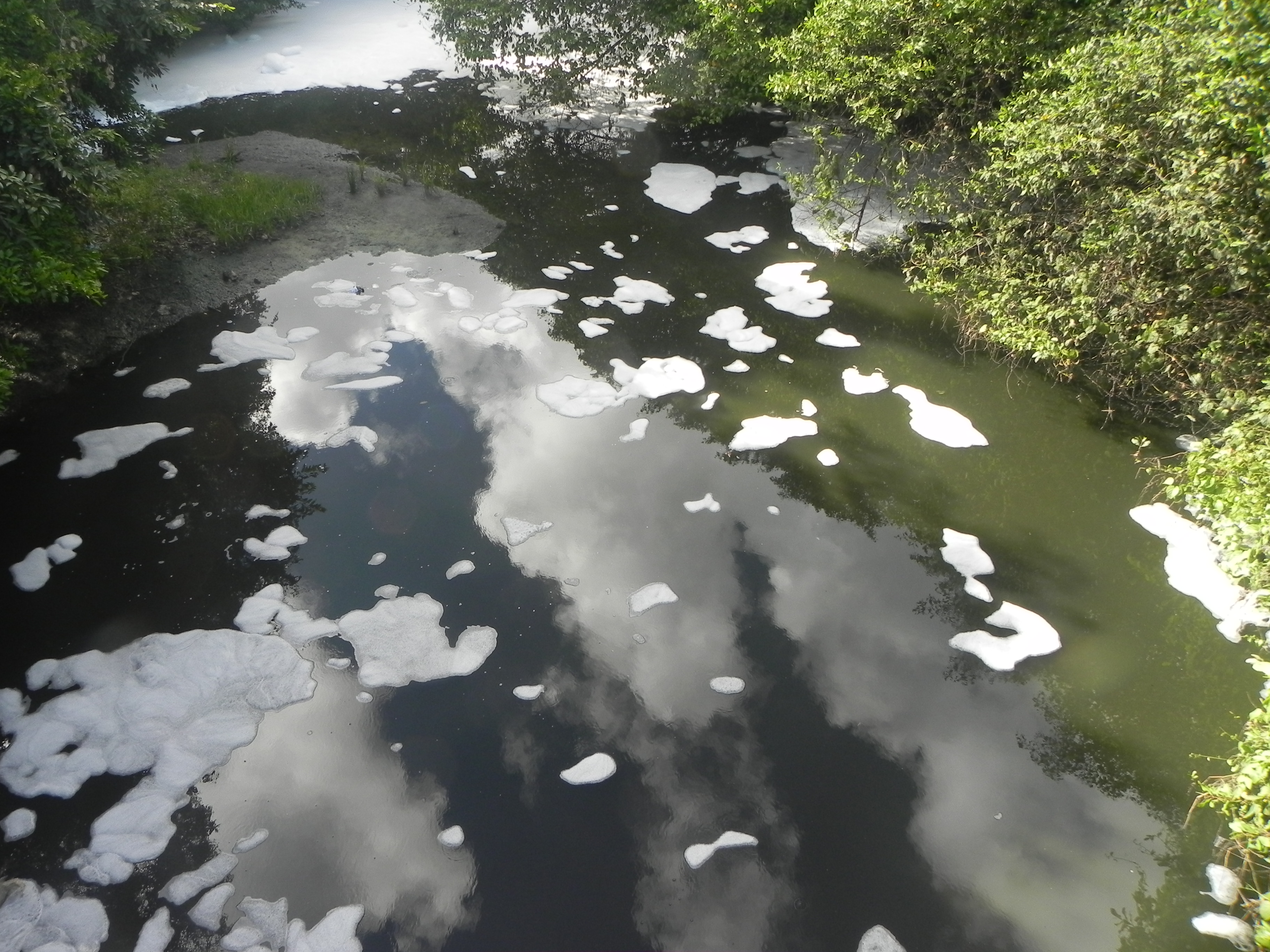 Espuma branca é encontrada no Rio Poxim em Aracaju, Sergipe