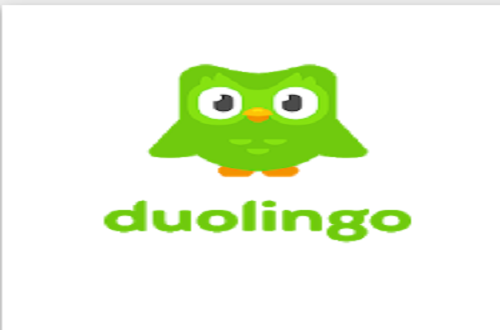 Duolingo. A app que ensina línguas de forma grátis prepara-se para ser  cotada em bolsa - Tecnologia - SAPO 24