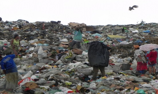 MP cobra desativação de lixões em Neópolis e Santana do S. Francisco