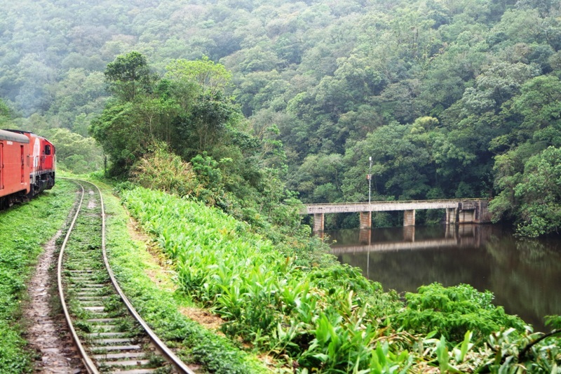 Serra Verde Express Train to Morretes, Antoninna from Curitiba 2024