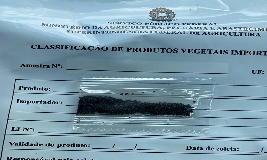 Sergipe já contabiliza 31 envelopes contendo ‘sementes misteriosas’