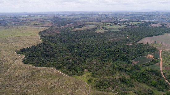 Mata do Cipó será reflorestada entre os municípios de Siriri e Capela