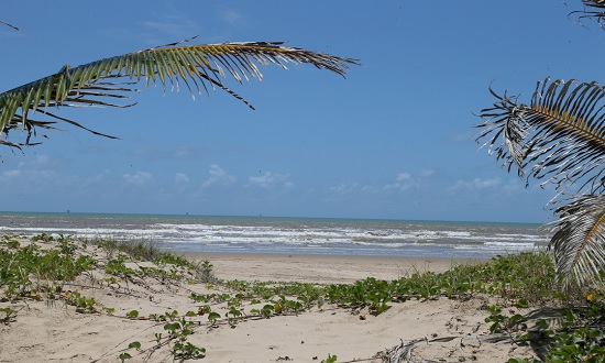 Confira quais as praias próprias para banho em Sergipe