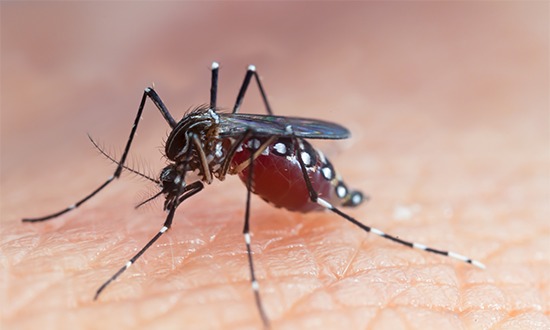 Homem morre com suspeita de dengue hemorrágica
