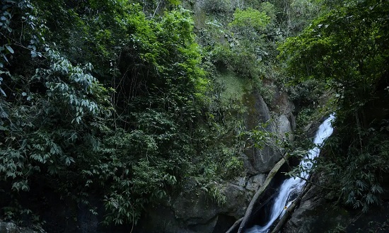 Parque Nacional da Tijuca