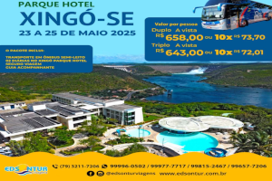 xingo2