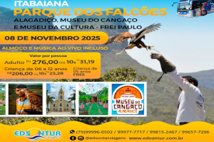 p_falcao
