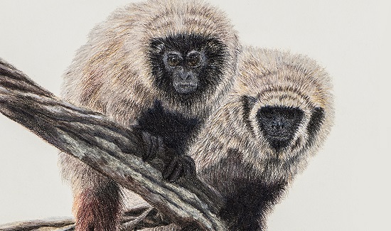 Exposio propõe reflexão sobre meio ambiente e sergipanidade - O que é notícia em Sergipe