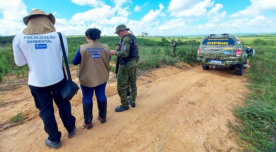 Adema vistoria 41 alvos em Sergipe durante operação contra o desmatamento