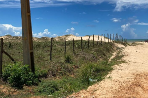 2_terrenos