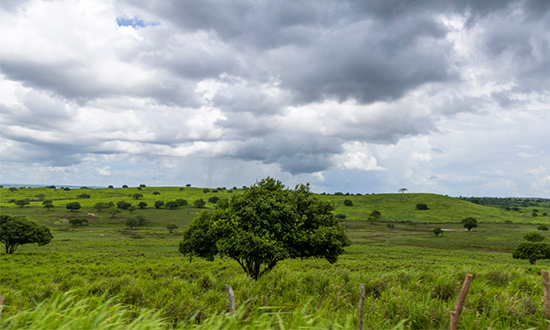 Sergipe monta sala de situação contra impactos do El Niño