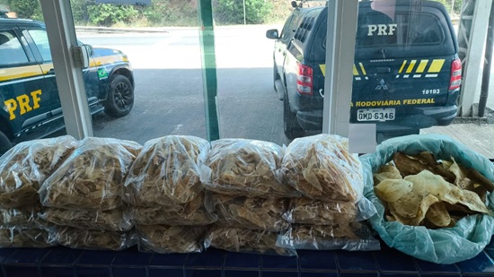 Image for PRF e Ibama apreendem carga irregular de pescados em Estância