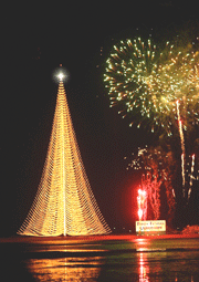 Sergipe tem a maior árvore de natal do mundo - O que é notícia em Sergipe
