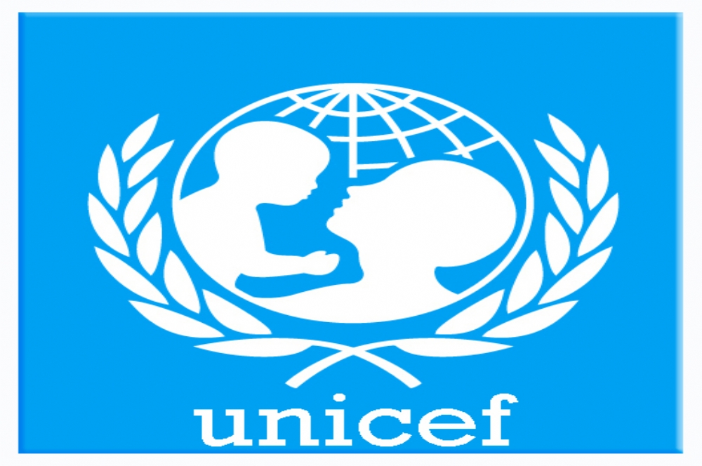 51 municípios participam de encontro do Selo Unicef - O que é notícia ...